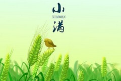 竞聘信用社主任的演讲稿(信用社审计部经理竞聘演讲稿)