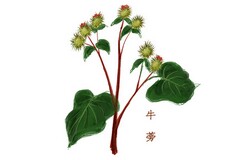形容洒脱的词_形容洒脱的诗句