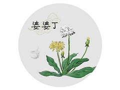 学生个人素养自我评价_学生个人综合素质自我评价