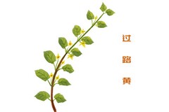 召开会议的通知_有关召开会议的通知