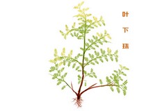 亲子游活动策划书(亲子游方案策划案)