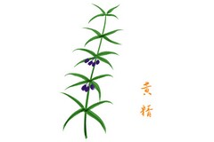 基本经济制度说课稿_充满生机和活力的基本经济制度说课稿