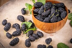 普通合伙企业协议书_普通合伙企业合同