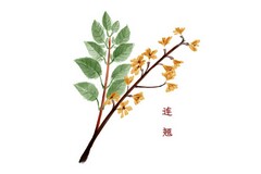 舞蹈班开学了应该怎么通知_舞蹈班开学通知怎么写
