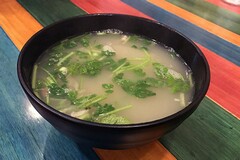 计划书学生_计划书学生