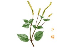 医生英文求职简历(医生求职简历)