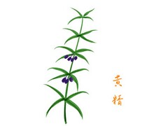 课文《我不是最弱小的》教材理解_小学课文我不是最弱小的