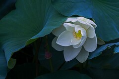 地质矿产报告(矿产地质报告)