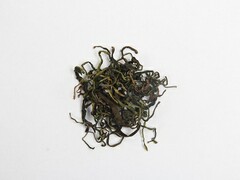 春分节气诗词绘画_春分节气诗词