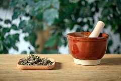 小升初简历格式_简历表格式下载