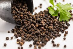 java应届毕业生招聘简历_java应届生简历