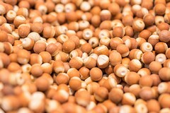 拔河比赛6个队怎么策划_拔河比赛策划方案