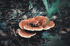 简洁的早安共勉句子QQ_早安说说短句