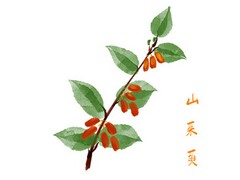 病理医生的主要工作任务_病理科医生的个人工作总结