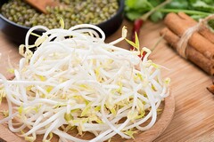 质量主管述职报告精美(质量主管述职)