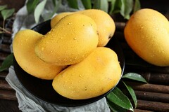 防疫抗疫倡议书_防疫抗疫从我做起倡议书