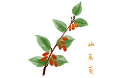 教育工作推进会议_教育技术工作会议通知